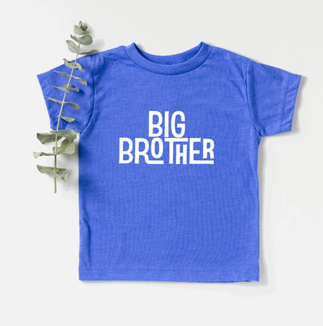 Big Brother Toddler D26